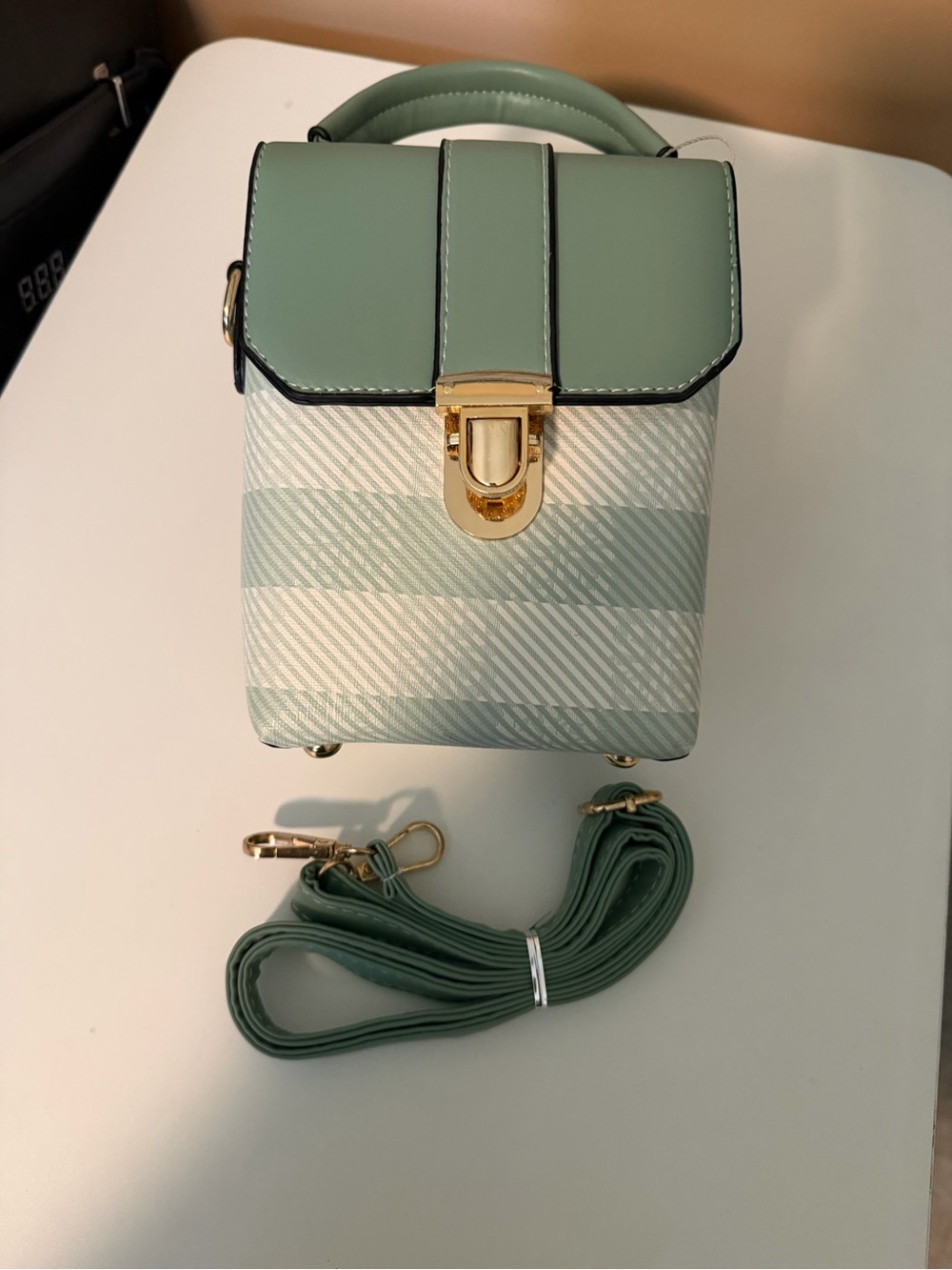 Small Structured Crossbody Bag in Sage Green